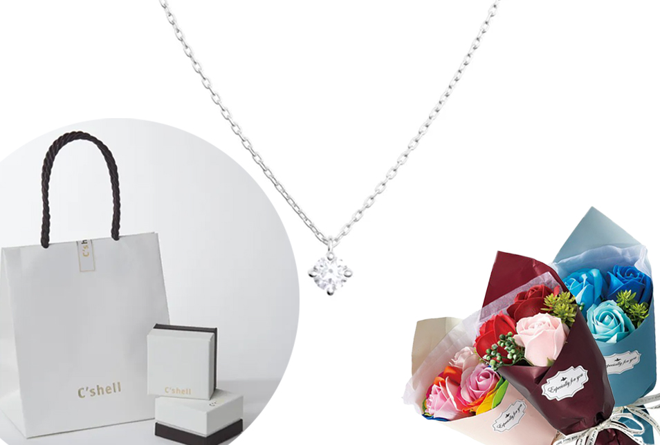 0.1CTダイヤモンド プラチナネックレス | C'shell（シシェル）の